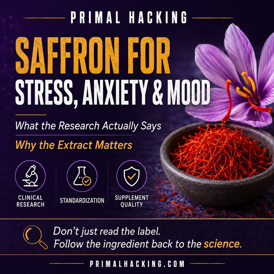 Saffron for Stress, Anxiety & Mood: What the Research Actually Says — and Why the Extract Matters
