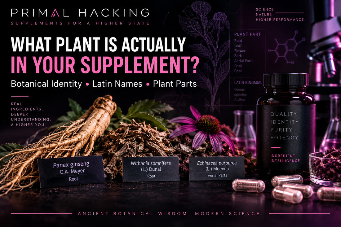 What Plant Is Actually in Your Supplement? Why Botanical Names Matter